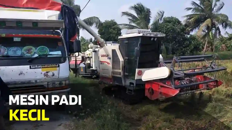 Mesin Padi Kecil