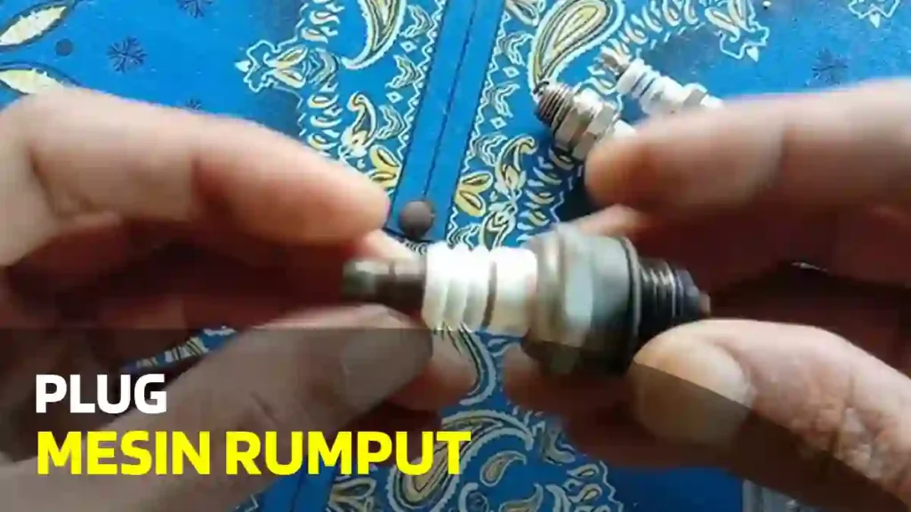 Plug Mesin Rumput